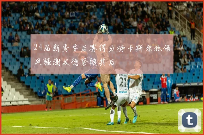 24届新秀季后赛得分榜卡斯尔独领风骚谢泼德紧随其后